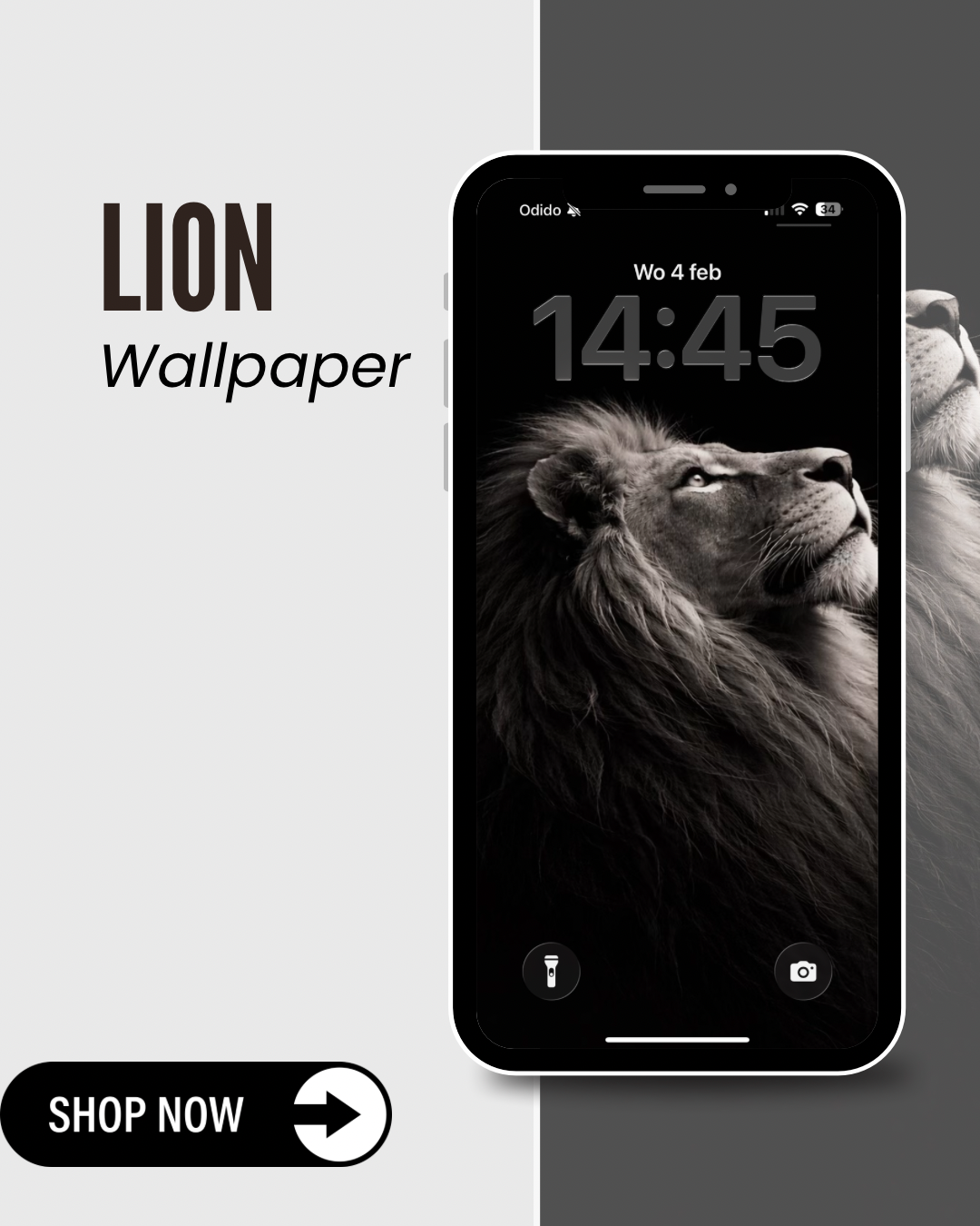 LION WALLPAPER